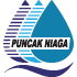 Puncak Niaga