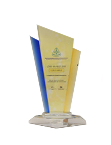 msosh-award-gold-merit-2013